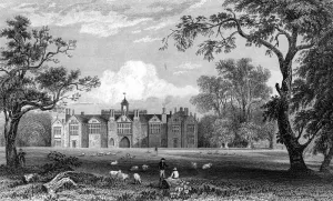 Gosfield Hall, Essex, engraved by Robert Sands, 1832 (engraving) Gosfield Hall, Essex, engraved by Robert Sands, 1832 (engraving)