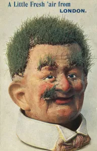 Grass growing like hair from a model head (colour litho) Grass growing like hair from a model head (colour litho)
