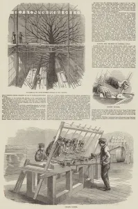 The Great Exhibition in Hyde Park (engraving) The Great Exhibition in Hyde Park (engraving)