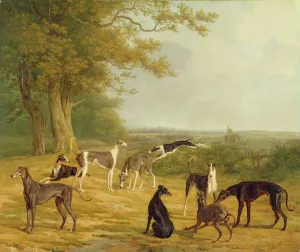 Nine Greyhounds in a Landscape (oil on canvas) Nine Greyhounds in a Landscape (oil on canvas)