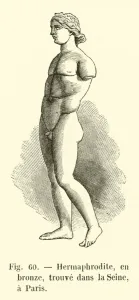 Hermaphrodite, en bronze, trouve dans la Seine, a Paris (engraving) Hermaphrodite, en bronze, trouve dans la Seine, a Paris (engraving)
