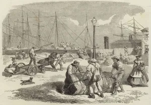 Illustrations of the War in America (engraving) Illustrations of the War in America (engraving)