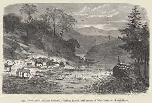 Imaginary Landscape during the Tertiary Period, with groups of Palaeotheria and Anoplotheria (engraving) Imaginary Landscape during the Tertiary Period, with groups of Palaeotheria and Anoplotheria (engraving)