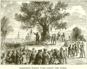 Indignation Meeting under Liberty Tree, Boston (engraving) Indignation Meeting under Liberty Tree, Boston (engraving)