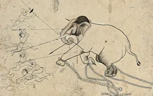 Isarda or kotah preparatory drawing of the taming of an elephant, c.1720 (ink & gouache on paper) Isarda or kotah preparatory drawing of the taming of an elephant, c.1720 (ink & gouache on paper)