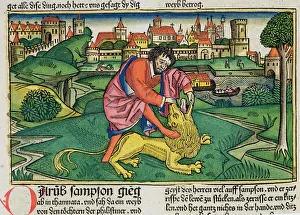 Judges 14 5-9 Samson slays the lion, from the Nuremberg Bible (Biblia Sacra Germanaica) (coloured woodcut) Judges 14 5-9 Samson slays the lion, from the Nuremberg Bible (Biblia Sacra Germanaica) (coloured woodcut)