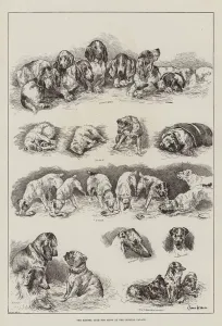 The Kennel Club Dog Show at the Crystal Palace (engraving) The Kennel Club Dog Show at the Crystal Palace (engraving)
