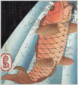 Koi Carp; pub. C. 1820 (colour woodblock print) Koi Carp; pub. C. 1820 (colour woodblock print)