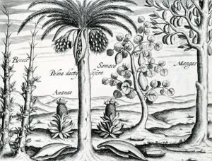 Landscape, Illustration from India Orientalis, 1598 (engraving) Landscape, Illustration from India Orientalis, 1598 (engraving)