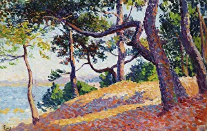 Landscape in Saint-Tropez, 1892 (oil on board) Landscape in Saint-Tropez, 1892 (oil on board)