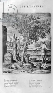 Les Etrennes (new year gifts from hunting and growing food), 1615 (engraving) Les Etrennes (new year gifts from hunting and growing food), 1615 (engraving)