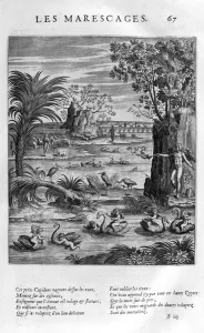 Les Marecages (The swamplands), 1615 (engraving) Les Marecages (The swamplands), 1615 (engraving)