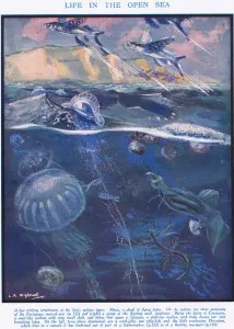 Life in the Open Sea, illustration from The Science of Life (colour litho) Life in the Open Sea, illustration from The Science of Life (colour litho)