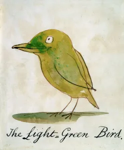 The Light Green Bird Print by Edward Lear (1812-88)