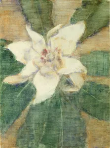 Magnolia Grandiflora (tempera on canvas) Magnolia Grandiflora (tempera on canvas)