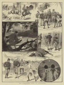 The Man-Eating Tiger of Junglepoor (engraving) The Man-Eating Tiger of Junglepoor (engraving)