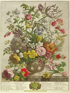 Artists/pieter after casteels/may months flowers robert furber c Artists/pieter after casteels/may months flowers robert furber c