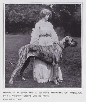 Messrs W H Boyes and H Schmidt's Hannibal of Rosedale (b/w photo) Messrs W H Boyes and H Schmidt's Hannibal of Rosedale (b/w photo)