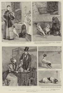 The Misery of Shopping with Women from a Dog's Point of View (litho) The Misery of Shopping with Women from a Dog's Point of View (litho)