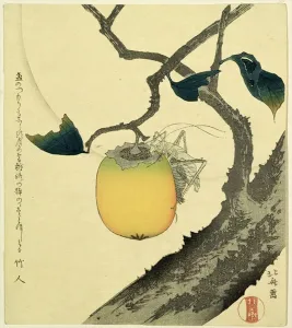 Moon, Persimmon and Grasshopper, 1807 (colour woodcut) Moon, Persimmon and Grasshopper, 1807 (colour woodcut)