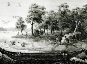 New Holland: New South Wales (engraving) (b/w photo) New Holland: New South Wales (engraving) (b/w photo)