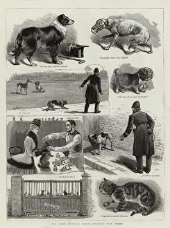 The New Police Regulations for Dogs (engraving) The New Police Regulations for Dogs (engraving)