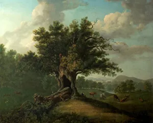 An Oak in Moccas Park, Herefordshire (oil on canvas) An Oak in Moccas Park, Herefordshire (oil on canvas)