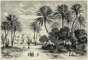 Oasis of Gafsa: Tunis (engraving) Oasis of Gafsa: Tunis (engraving)