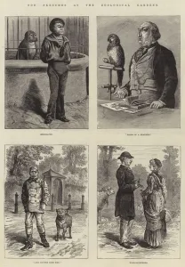 Odd Sketches at the Zoological Gardens (engraving) Odd Sketches at the Zoological Gardens (engraving)