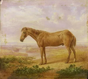 Old Billy, a Draught Horse, Aged 62 (oil on panel) Old Billy, a Draught Horse, Aged 62 (oil on panel)