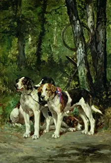A Pack of Hounds (panel) A Pack of Hounds (panel)
