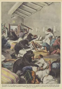 A pack of hungry bears penetrated in broad daylight in a hospital in Jakovlevka... (colour litho) A pack of hungry bears penetrated in broad daylight in a hospital in Jakovlevka... (colour litho)