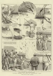 Panama Sharks, and how to circumvent them (litho) Panama Sharks, and how to circumvent them (litho)