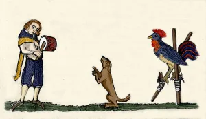Pets trained: a dog and a rooster dance on stills to the rhythm of the drum Pets trained: a dog and a rooster dance on stills to the rhythm of the drum