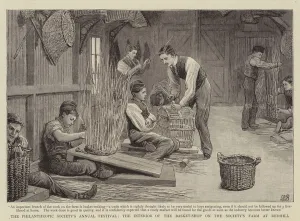 The Philanthropic Society's Annual Festival, the Interior of the Basket-Shop on the Society' The Philanthropic Society's Annual Festival, the Interior of the Basket-Shop on the Society'
