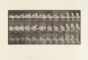 Plate 264. Getting out of bed and preparing to kneel, 1887 (collotype on paper) Plate 264. Getting out of bed and preparing to kneel, 1887 (collotype on paper)