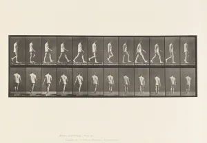 Plate 560. Locomotor Ataxia; Walking, 1885 (collotype on paper) Plate 560. Locomotor Ataxia; Walking, 1885 (collotype on paper)