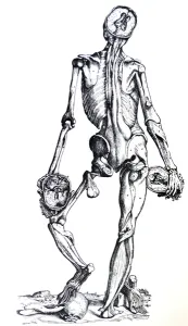 The Plates from the Seventh Book of the De Humani Corporis Fabrica The Plates from the Seventh Book of the De Humani Corporis Fabrica