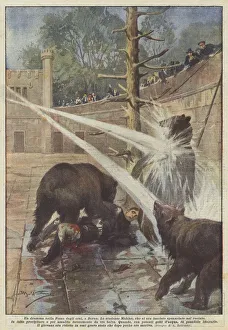 A play in the Bear's Pit in Bern (colour litho) A play in the Bear's Pit in Bern (colour litho)
