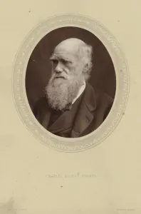 Portrait of Charles Darwin (b/w photo) Portrait of Charles Darwin (b/w photo)