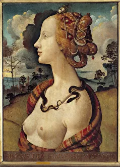 Portrait of a woman said of Simonetta Vespucci, 1480 (oil on canvas) Portrait of a woman said of Simonetta Vespucci, 1480 (oil on canvas)