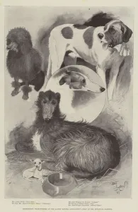 Premiership Prize-Winners at the Ladies Kennel Association's Show at the Botanical Gardens (litho) Premiership Prize-Winners at the Ladies Kennel Association's Show at the Botanical Gardens (litho)