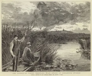 The Prince of Wales shooting wild swans at Ekolsund (engraving) The Prince of Wales shooting wild swans at Ekolsund (engraving)