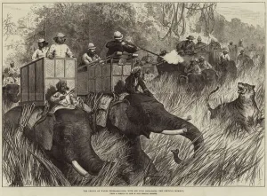 The Prince of Wales Tiger-Shooting with Sir Jung Bahadoor, the Critical Moment (engraving) The Prince of Wales Tiger-Shooting with Sir Jung Bahadoor, the Critical Moment (engraving)