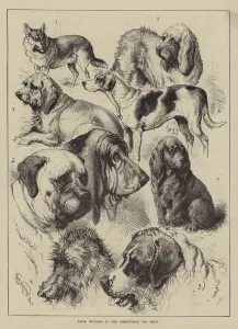Prize Winners at the Birmingham Dog Show (engraving) Prize Winners at the Birmingham Dog Show (engraving)