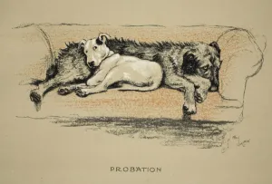 Probation, 1930, 1st Edition of Sleeping Partners, Aldin Probation, 1930, 1st Edition of Sleeping Partners, Aldin