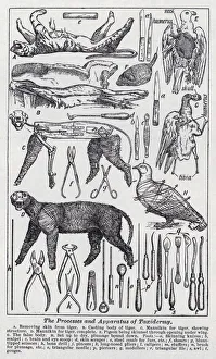 The processes and apparatus of taxidermy (litho) The processes and apparatus of taxidermy (litho)