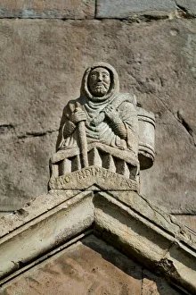 Raimondinus vilis Raimondinus vilis