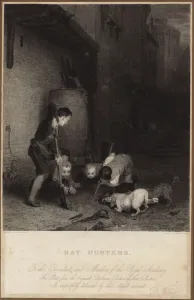 Rat hunters (engraving) Rat hunters (engraving)