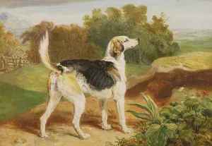 Ravager, one of the Lambton Hounds (oil on panel) Ravager, one of the Lambton Hounds (oil on panel)